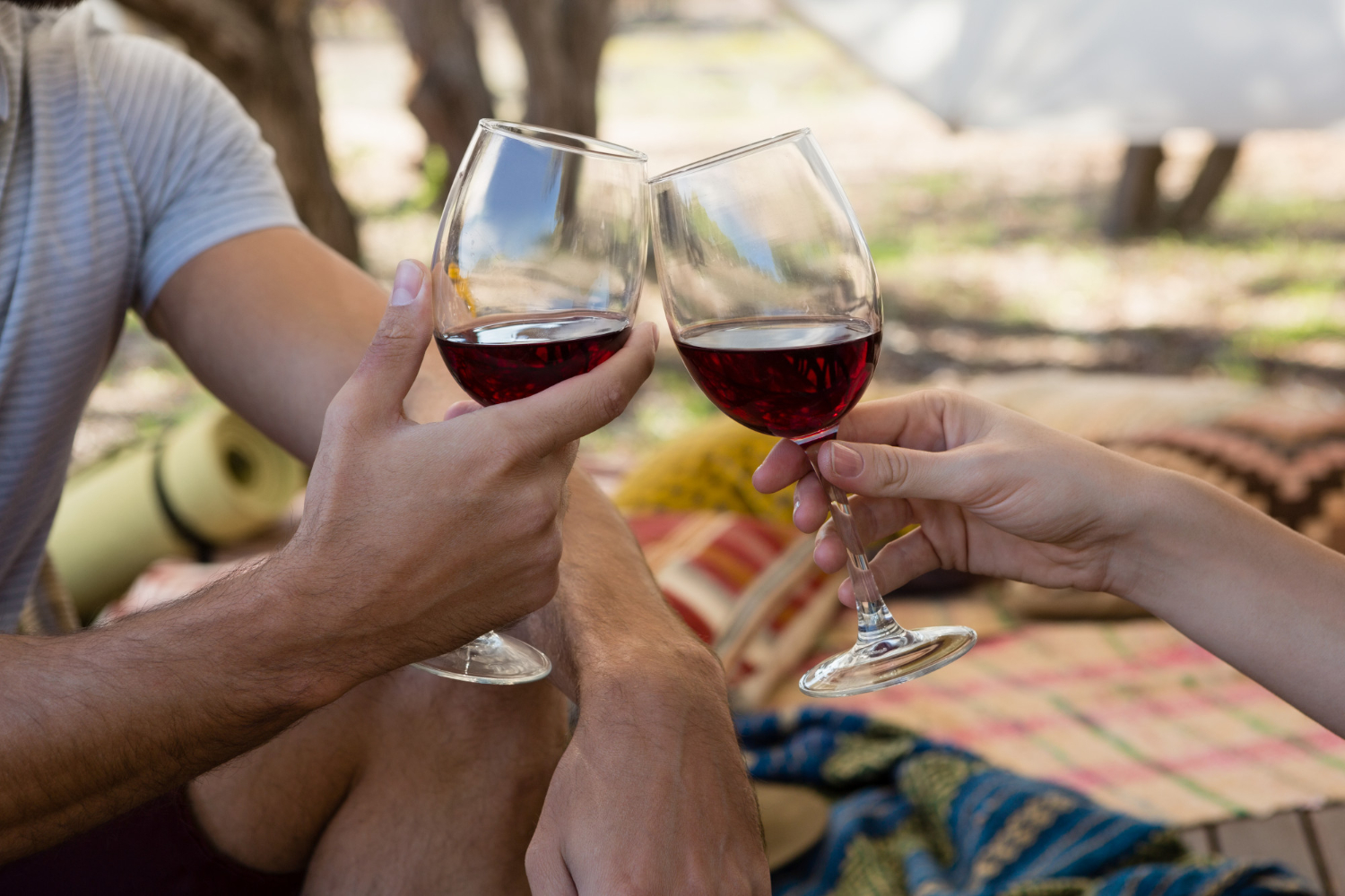Un buen vino para disfrutar el viaje
